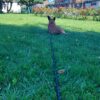Images de profil de Agathe - Blooming Pets - Petsitting et garde d'animaux à domicile