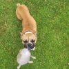Images de profil de Agathe - Blooming Pets - Petsitting et garde d'animaux à domicile
