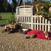 Images de profil de vanessa - Blooming Pets - Petsitting et garde d'animaux à domicile