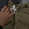 Images de profil de alba - Blooming Pets - Petsitting et garde d'animaux à domicile
