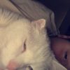 Images de profil de Alexis - Blooming Pets - Petsitting et garde d'animaux à domicile