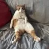 Images de profil de ALEXANDRA - Blooming Pets - Petsitting et garde d'animaux à domicile