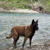 Images de profil de Alexandra - Blooming Pets - Petsitting et garde d'animaux à domicile