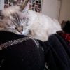 Images de profil de Alexandra - Blooming Pets - Petsitting et garde d'animaux à domicile