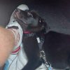 Images de profil de Alex - Blooming Pets - Petsitting et garde d'animaux à domicile