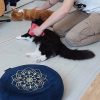Images de profil de Alex - Blooming Pets - Petsitting et garde d'animaux à domicile