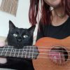 Images de profil de Alexia - Blooming Pets - Petsitting et garde d'animaux à domicile