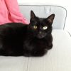Images de profil de Sandrine - Blooming Pets - Petsitting et garde d'animaux à domicile