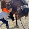 Images de profil de Alison - Blooming Pets - Petsitting et garde d'animaux à domicile