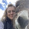 Images de profil de Falgere - Blooming Pets - Petsitting et garde d'animaux à domicile