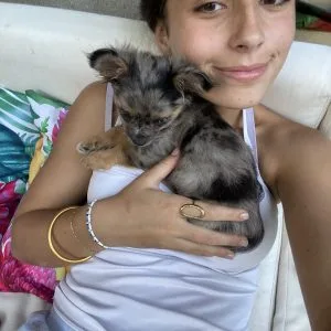 Images de profil de Alyson - Blooming Pets - Petsitting et garde d'animaux à domicile