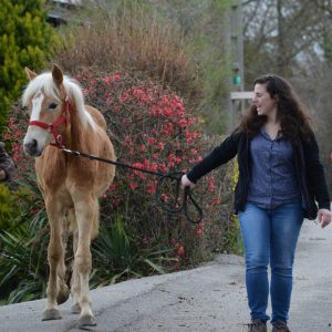 Images de profil de Alexa - Blooming Pets - Petsitting et garde d'animaux à domicile