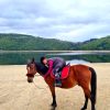 Images de profil de Ambre - Blooming Pets - Petsitting et garde d'animaux à domicile