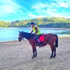 Images de profil de Ambre - Blooming Pets - Petsitting et garde d'animaux à domicile