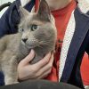Images de profil de Amelie - Blooming Pets - Petsitting et garde d'animaux à domicile