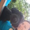 Images de profil de Amélie - Blooming Pets - Petsitting et garde d'animaux à domicile