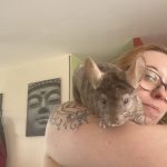 Duchesse Mon Chinchilla  Ebony Femelle - Garde d'animaux à domicile