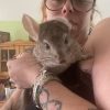 Images de profil de AMELINE - Blooming Pets - Petsitting et garde d'animaux à domicile