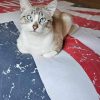 Images de profil de Anaïs - Blooming Pets - Petsitting et garde d'animaux à domicile