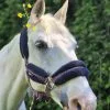 Images de profil de Anaïs - Blooming Pets - Petsitting et garde d'animaux à domicile