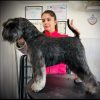 Images de profil de Andréa - Blooming Pets - Petsitting et garde d'animaux à domicile