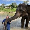 Images de profil de Angelina - Blooming Pets - Petsitting et garde d'animaux à domicile