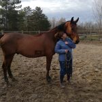 Haxo Mon Cheval  Selle Français Hongre - Garde d'animaux à domicile