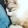 Images de profil de Anne-Cassandre - Blooming Pets - Petsitting et garde d'animaux à domicile