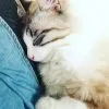 Images de profil de Anne-Cassandre - Blooming Pets - Petsitting et garde d'animaux à domicile