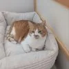 Images de profil de Inès - Blooming Pets - Petsitting et garde d'animaux à domicile