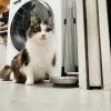 Images de profil de Charles - Blooming Pets - Petsitting et garde d'animaux à domicile