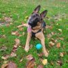 Images de profil de Anaïs - Blooming Pets - Petsitting et garde d'animaux à domicile