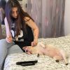 Images de profil de Anaïs - Blooming Pets - Petsitting et garde d'animaux à domicile