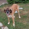 Images de profil de Athénaïs - Blooming Pets - Petsitting et garde d'animaux à domicile
