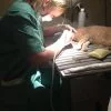 Images de profil de Audrey - Blooming Pets - Petsitting et garde d'animaux à domicile