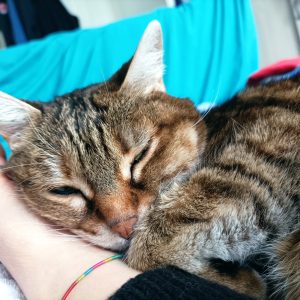 Images de profil de Audrey - Blooming Pets - Petsitting et garde d'animaux à domicile