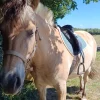 Images de profil de Awena - Blooming Pets - Petsitting et garde d'animaux à domicile