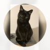 Images de profil de Axelle - Blooming Pets - Petsitting et garde d'animaux à domicile