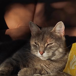 Images de profil de axelle - Blooming Pets - Petsitting et garde d'animaux à domicile