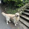 Images de profil de Bay - Blooming Pets - Petsitting et garde d'animaux à domicile