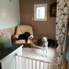 Images de profil de Tatiana - Blooming Pets - Petsitting et garde d'animaux à domicile