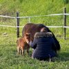 Images de profil de Océane - Blooming Pets - Petsitting et garde d'animaux à domicile