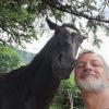 Images de profil de christophe - Blooming Pets - Petsitting et garde d'animaux à domicile