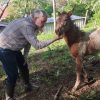 Images de profil de christophe - Blooming Pets - Petsitting et garde d'animaux à domicile