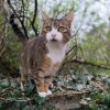 Images de profil de Louane - Blooming Pets - Petsitting et garde d'animaux à domicile