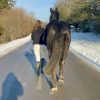 Images de profil de Calista - Blooming Pets - Petsitting et garde d'animaux à domicile