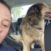 Images de profil de Camille - Blooming Pets - Petsitting et garde d'animaux à domicile