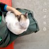 Images de profil de Camille - Blooming Pets - Petsitting et garde d'animaux à domicile