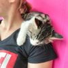 Image de profil de Camille - Blooming Pets - Petsitting et garde d'animaux à domicile