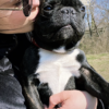 Images de profil de Capucine - Blooming Pets - Petsitting et garde d'animaux à domicile